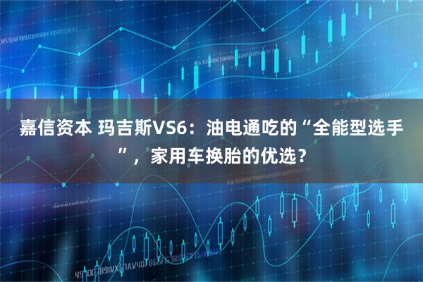 嘉信资本 玛吉斯VS6：油电通吃的“全能型选手”，家用车换胎的优选？